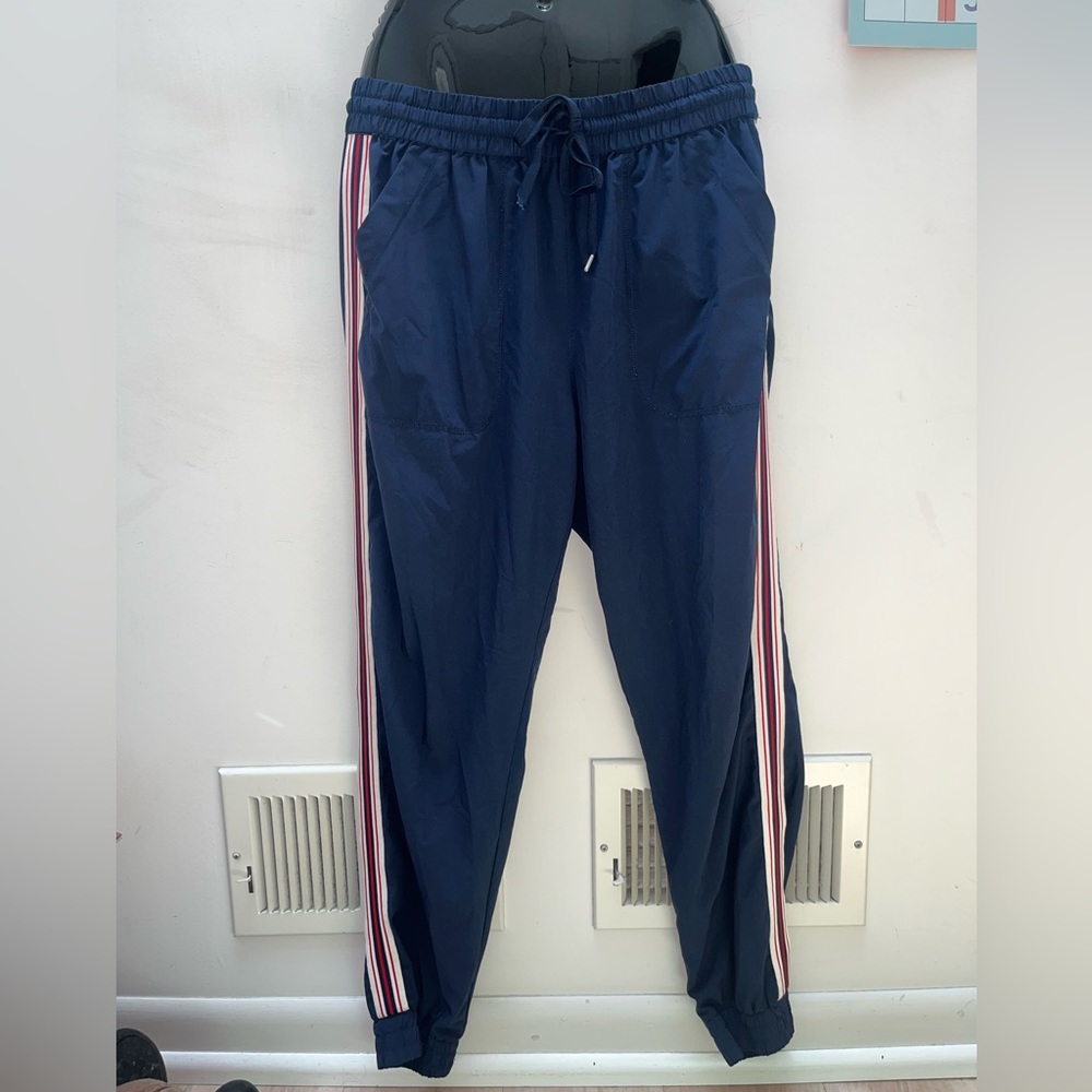 Aritzia TNA Navy Jogger Stripe Side Pants